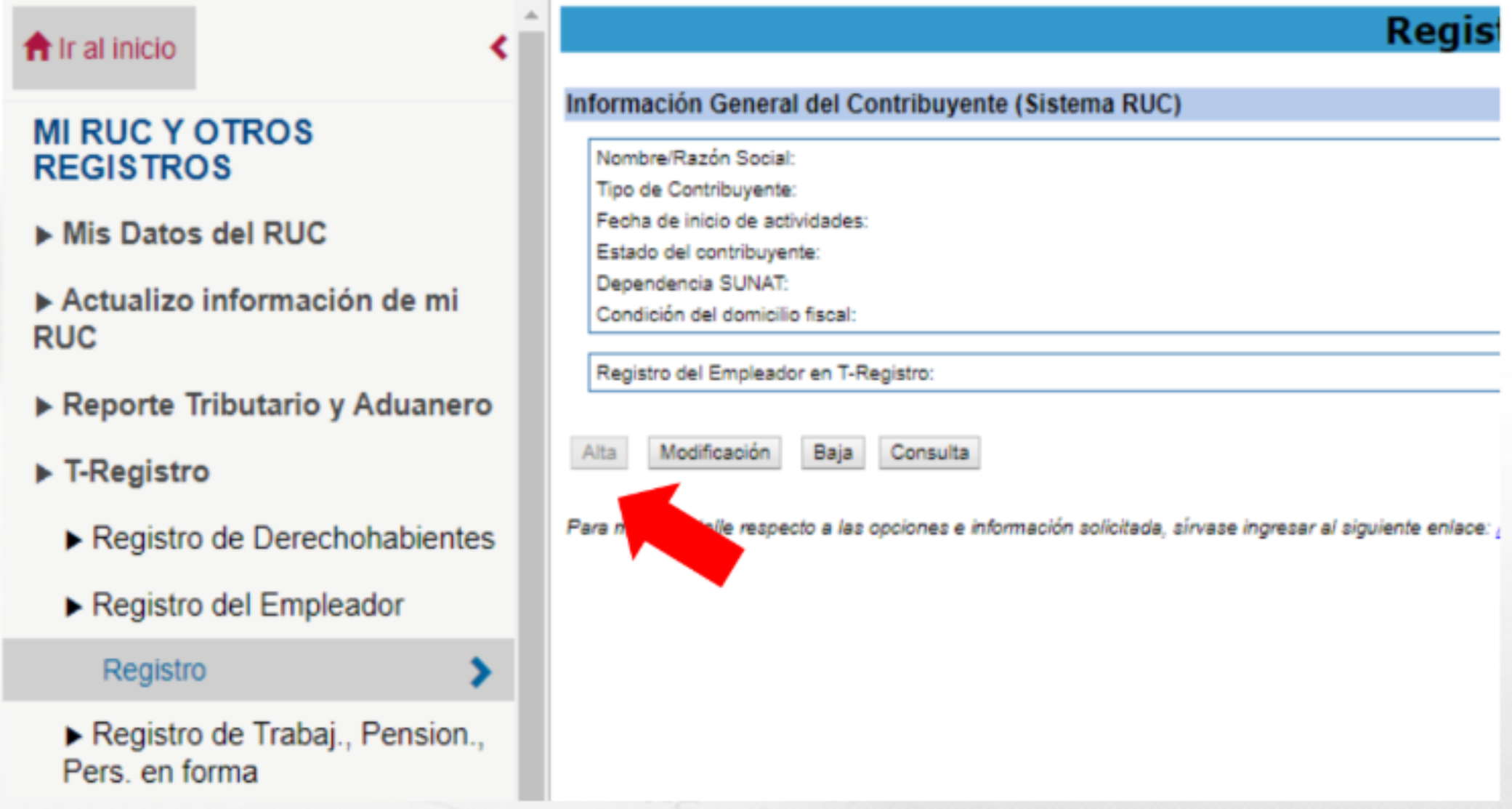 Alta de trabajadores en el t-registro
