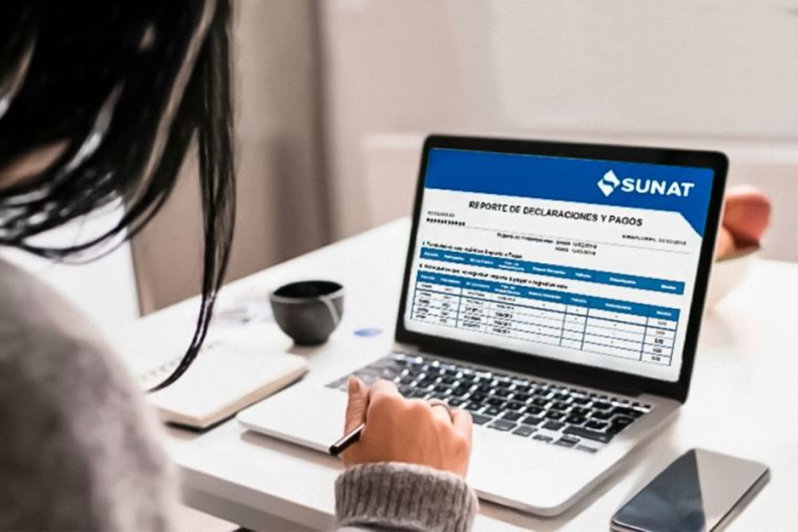 Asiento contable de multas e intereses sunat