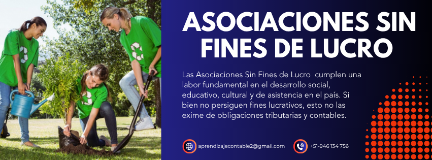 Asociaciones sin fines de lucro en el perú