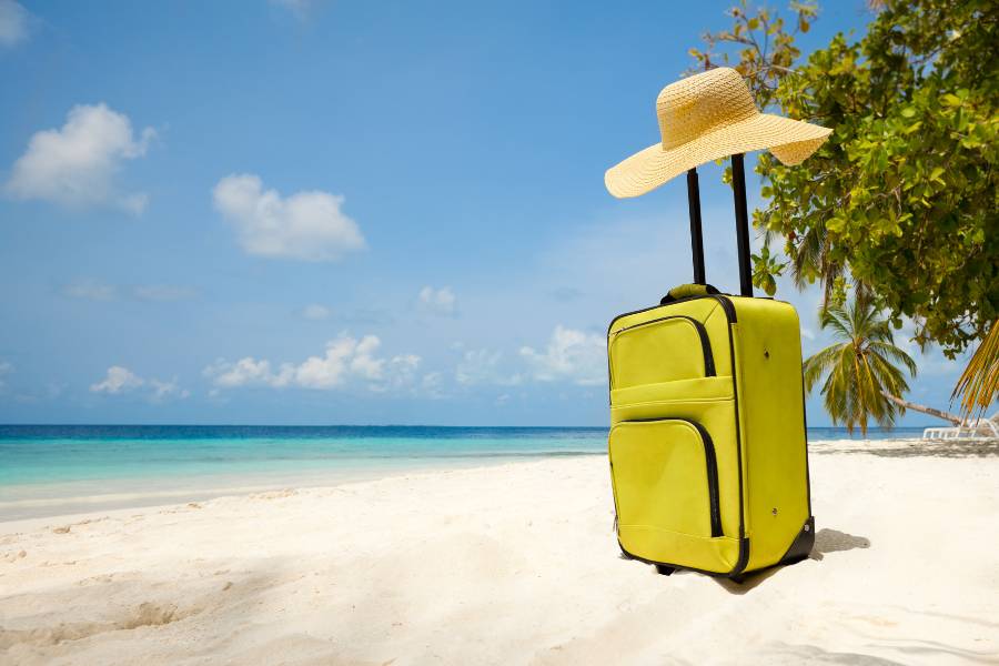 ¿cómo se llena el pdt plame cuando el trabajador sale de vacaciones?