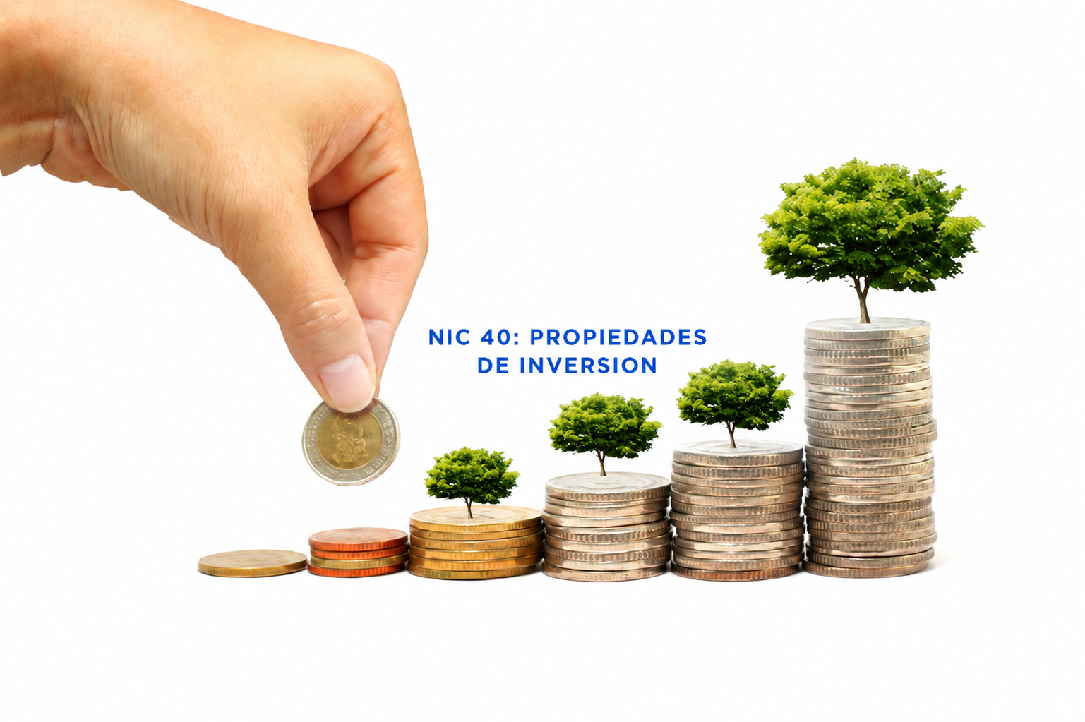 Nic 40 propiedades de inversión