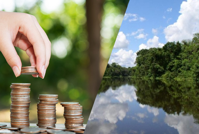 Nueva ley 32582: cambios clave para la amazonía peruana