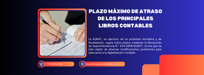 Plazo máximo de atraso de los principales libros contables